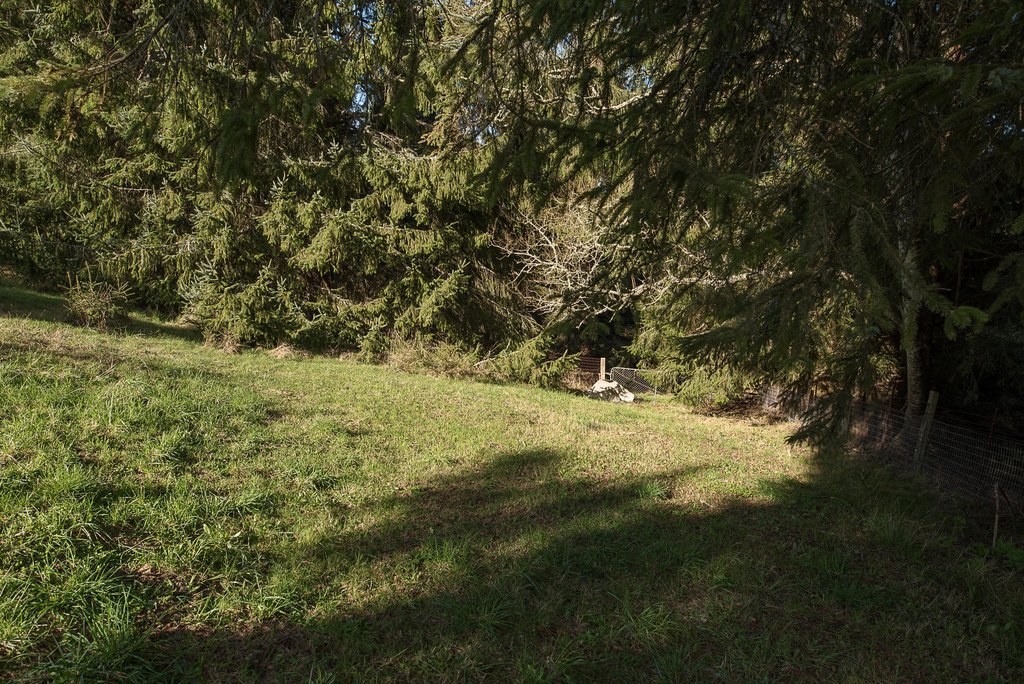 Picture 7