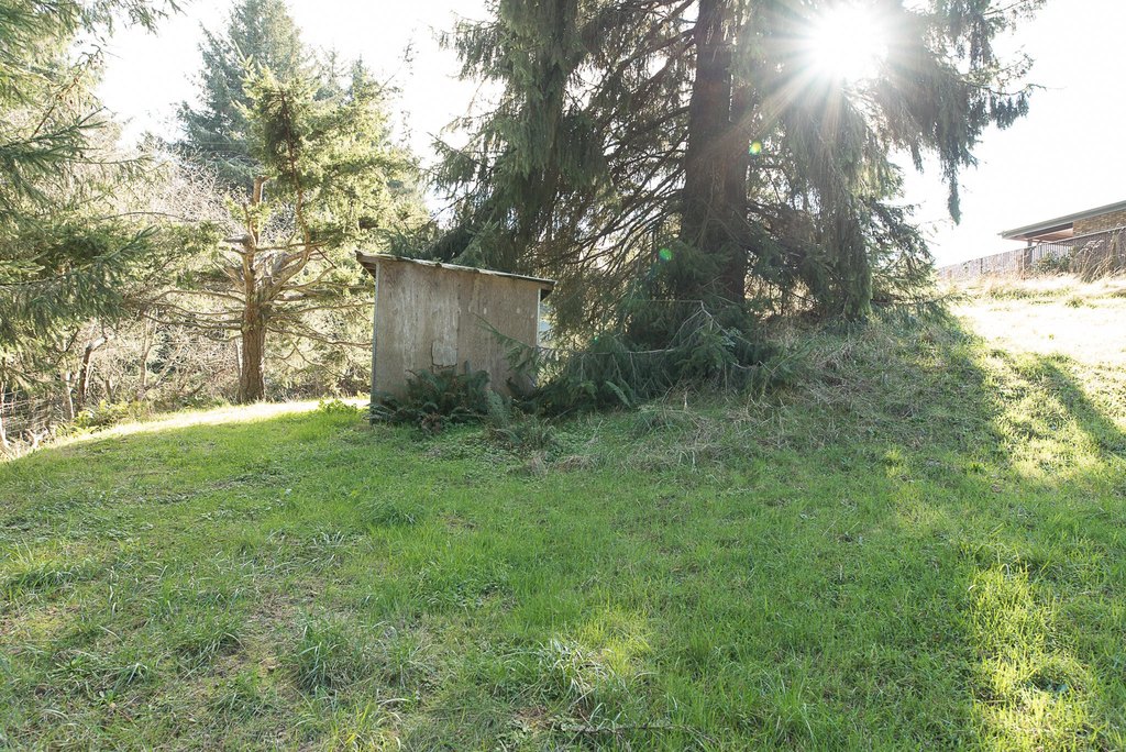 Picture 9