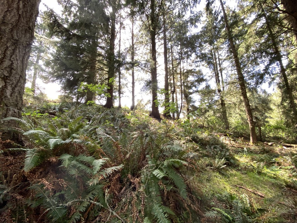 Picture 22