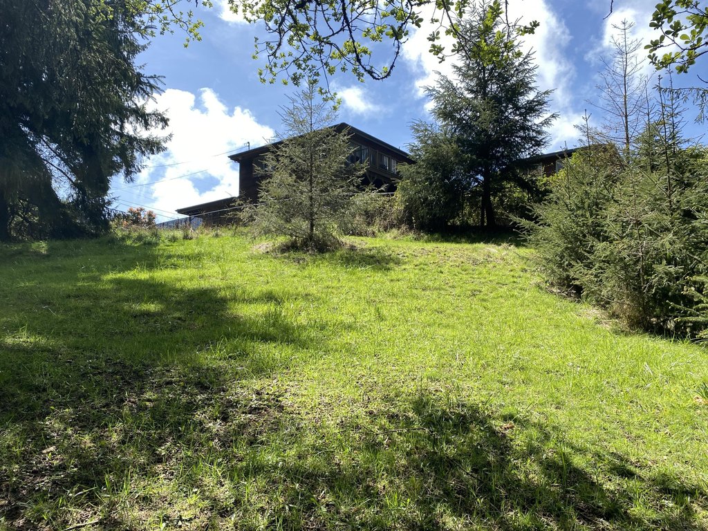 Picture 17