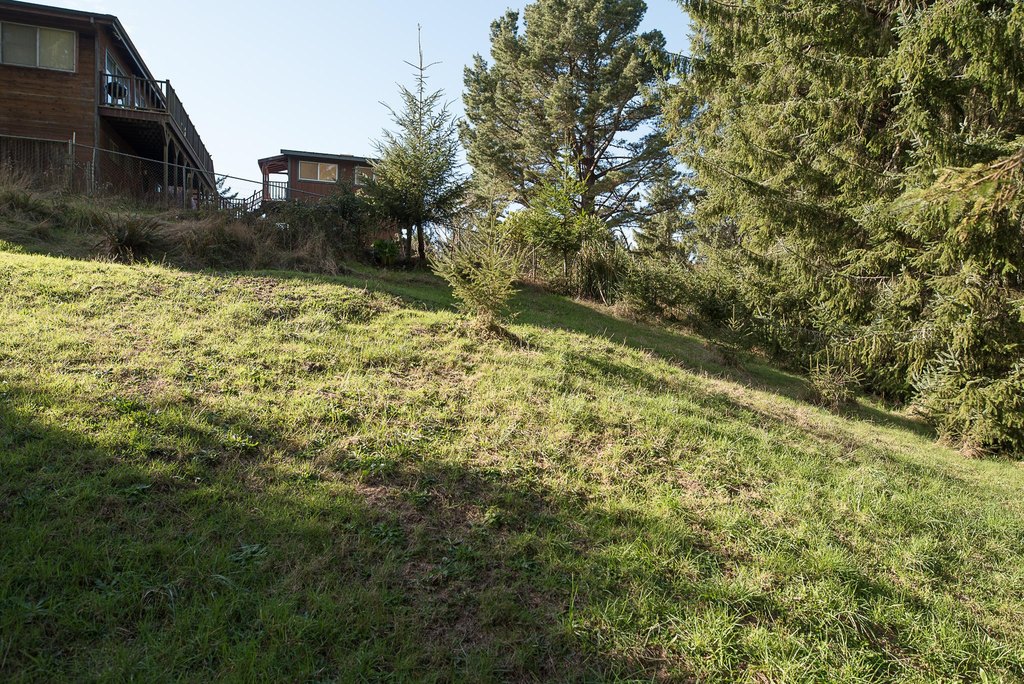 Picture 11