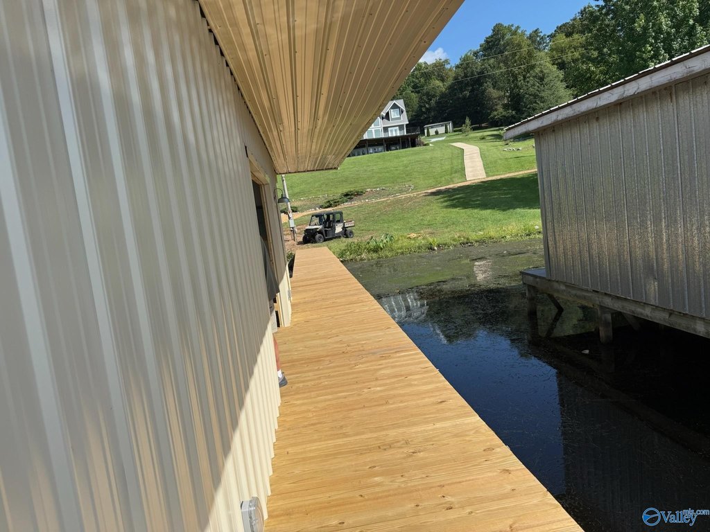Picture 5