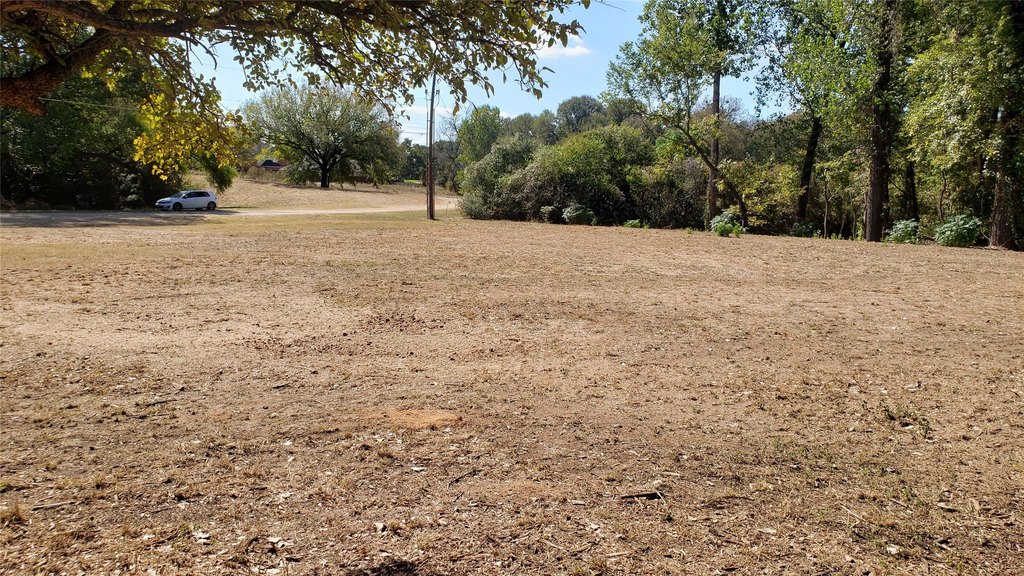 Picture 21