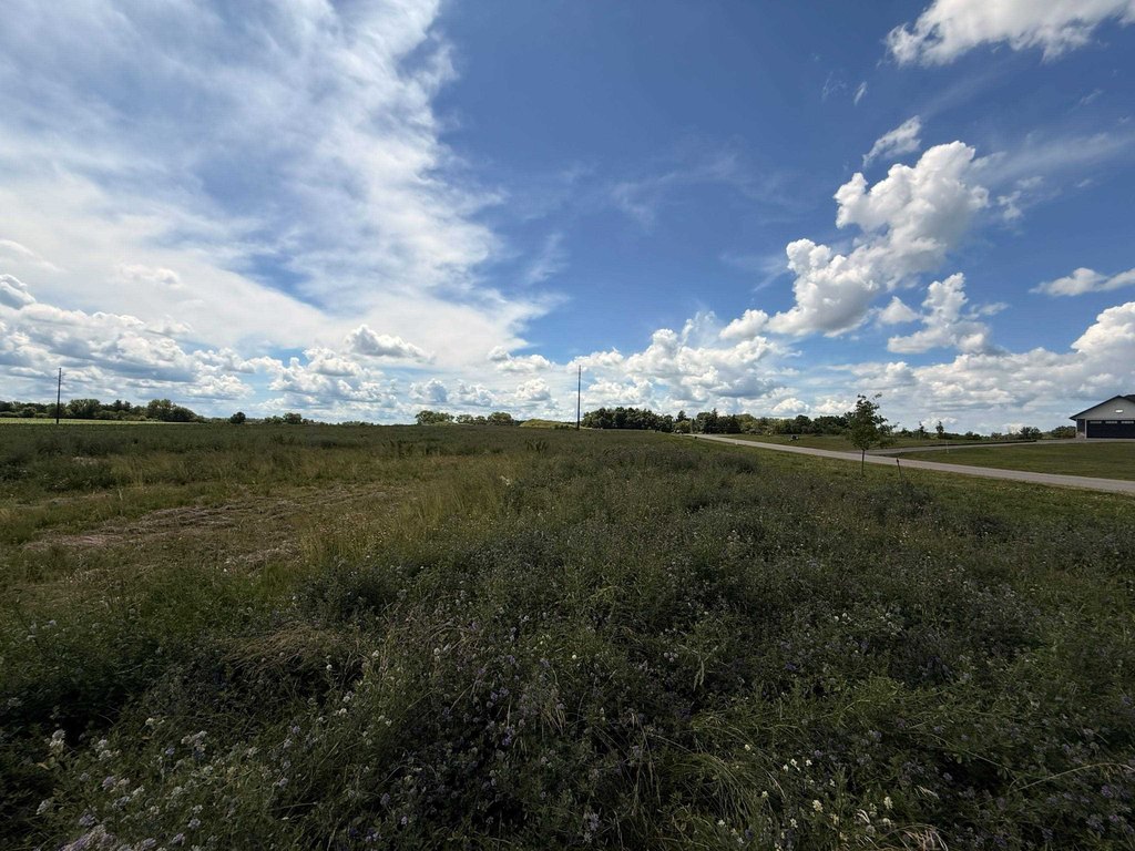 Picture 5