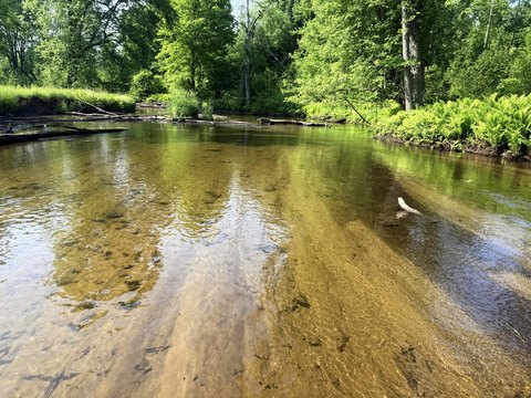Secluded Wooded Land with River