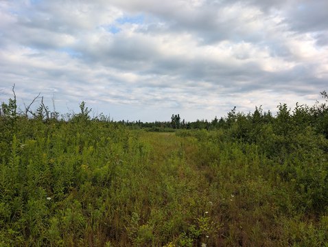 LAND - Lachine, MI