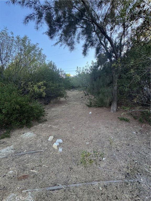 Picture 7