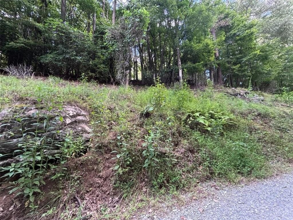Picture 17