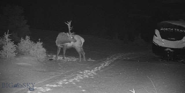Picture 22
