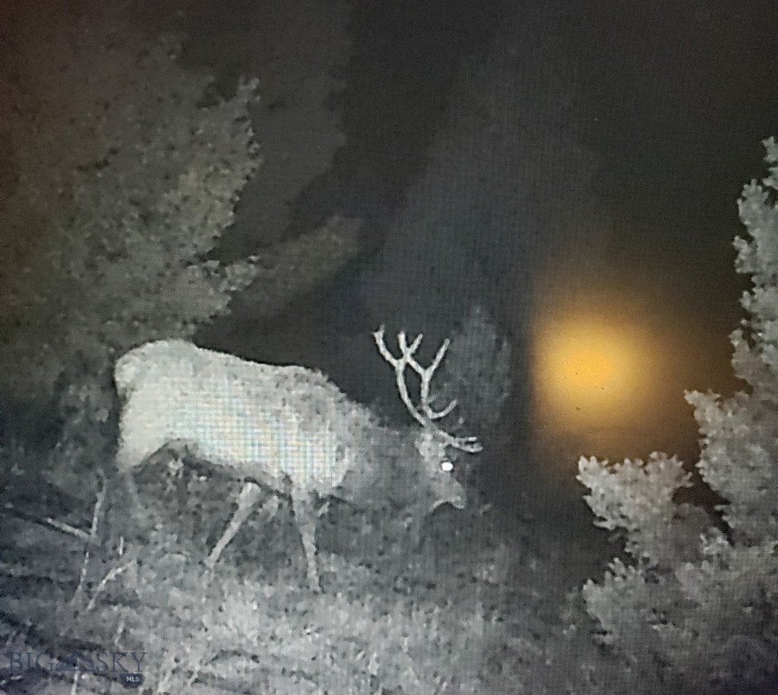 Picture 21