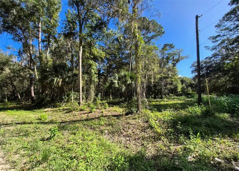 Land, OCALA, FL
