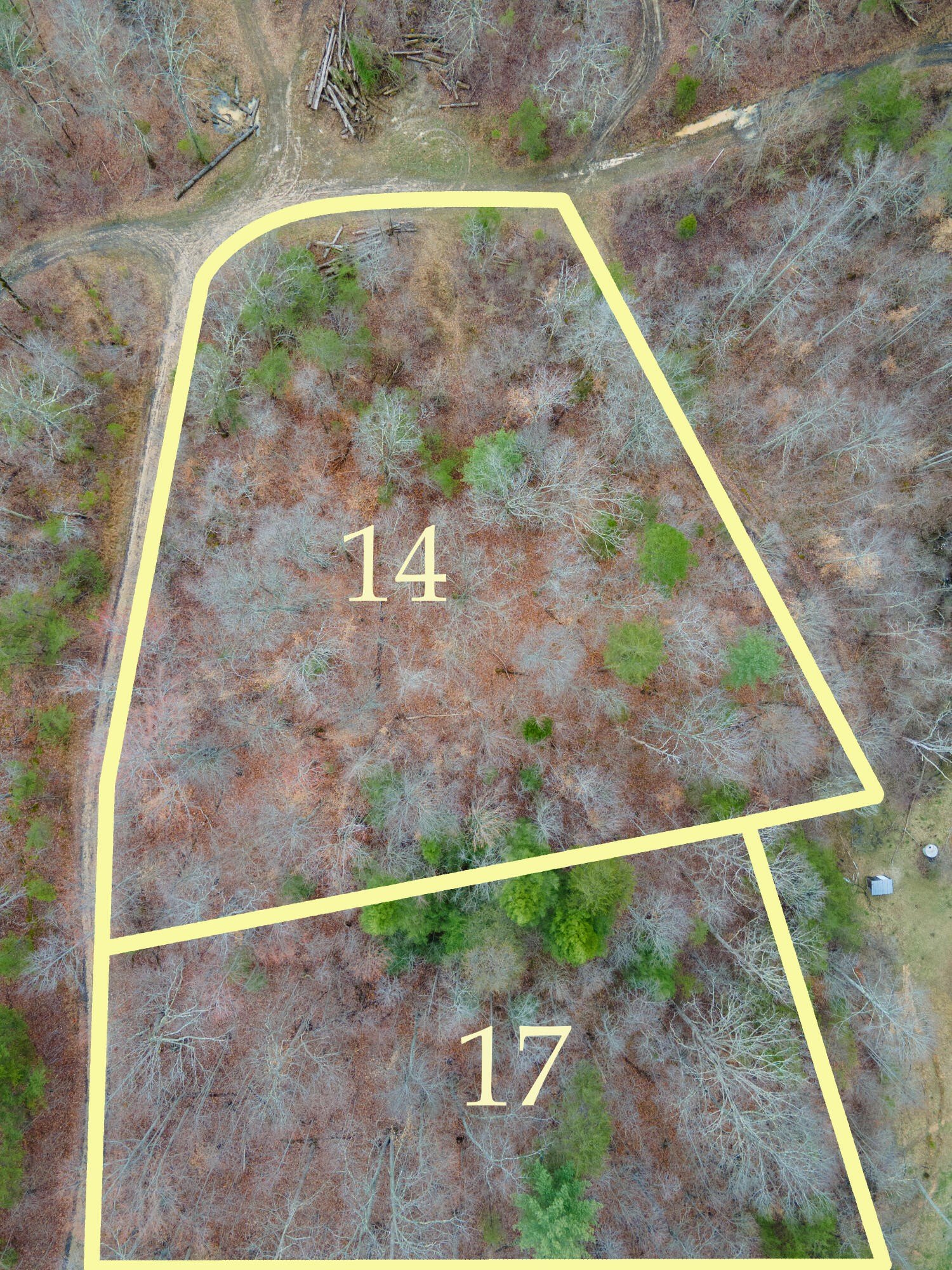 Land Near Red River Gorge