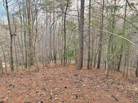 Residential Homesite Near Lake Lanier