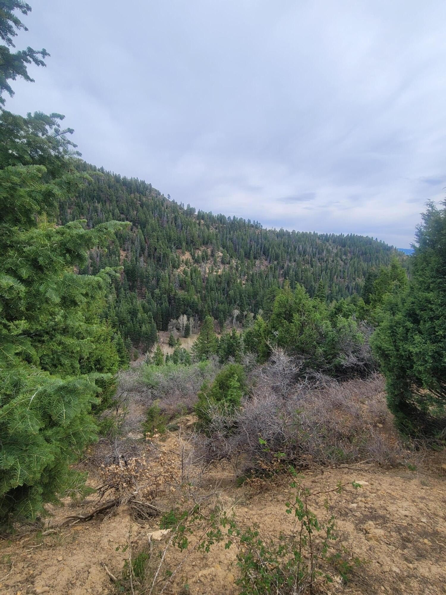 Duck Creek Village Mountain Retreat