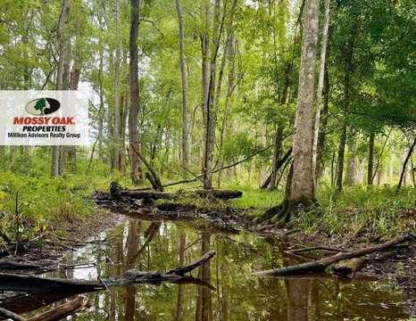 Land, Walterboro, SC