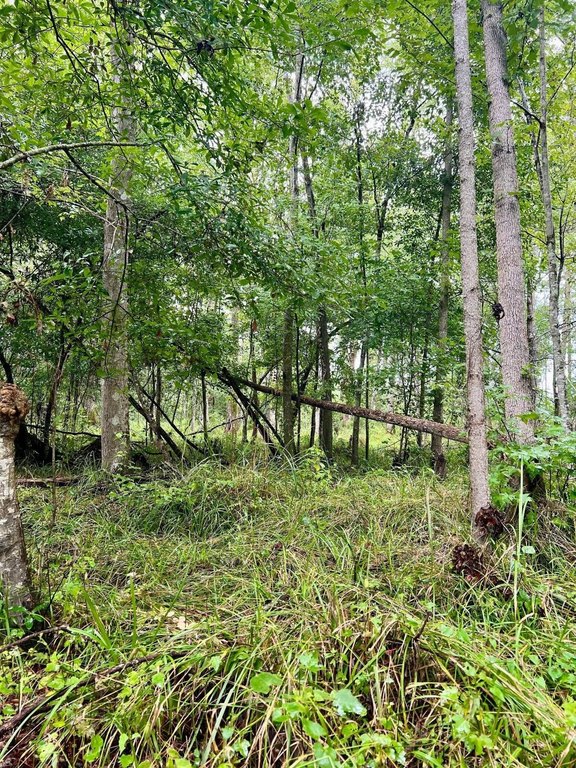 Picture 8