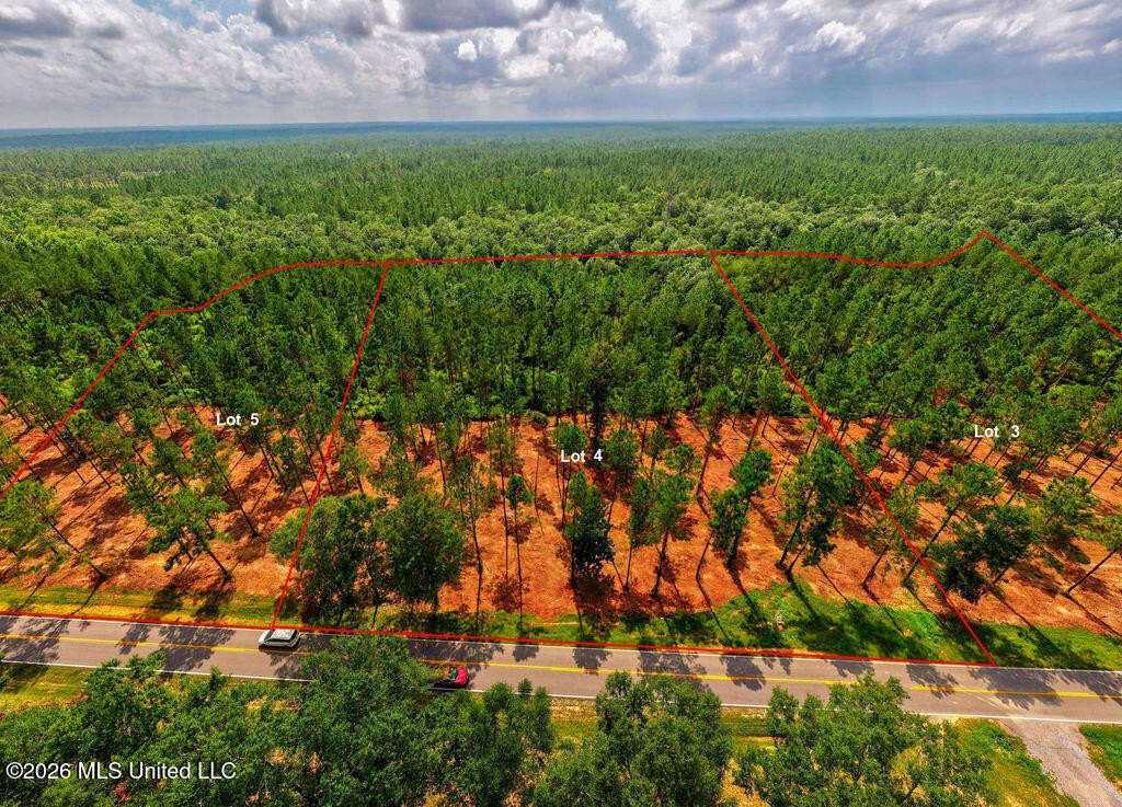 Picture 28