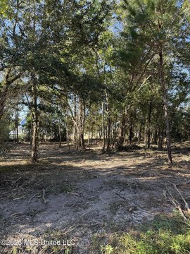 Waveland Land Near Beach