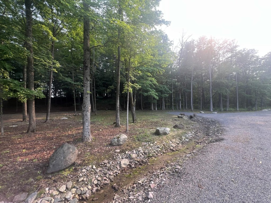 Picture 23
