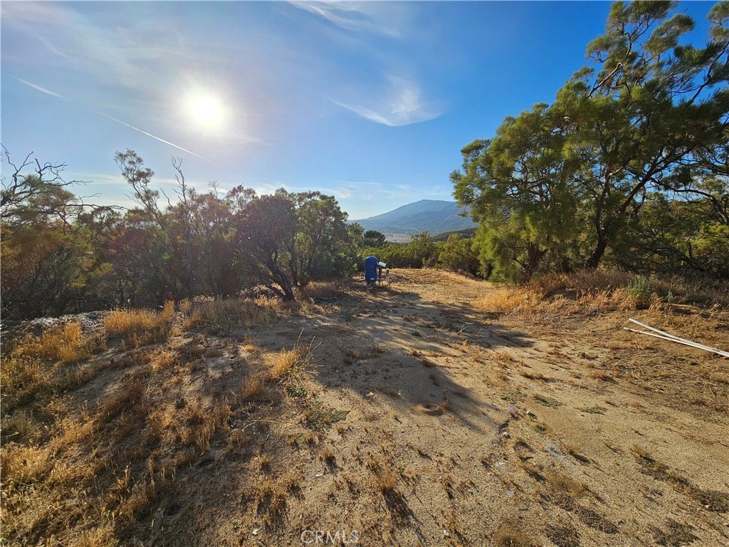 Picture 9