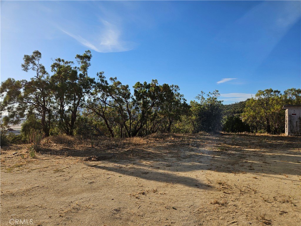 Picture 15