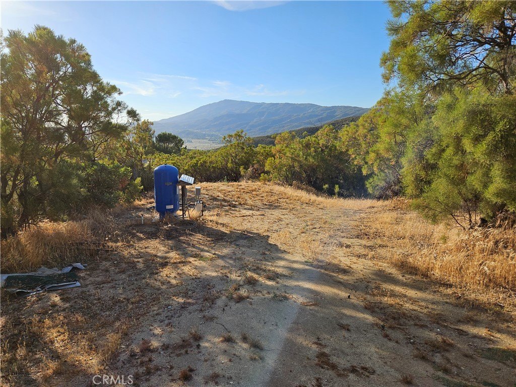Picture 17