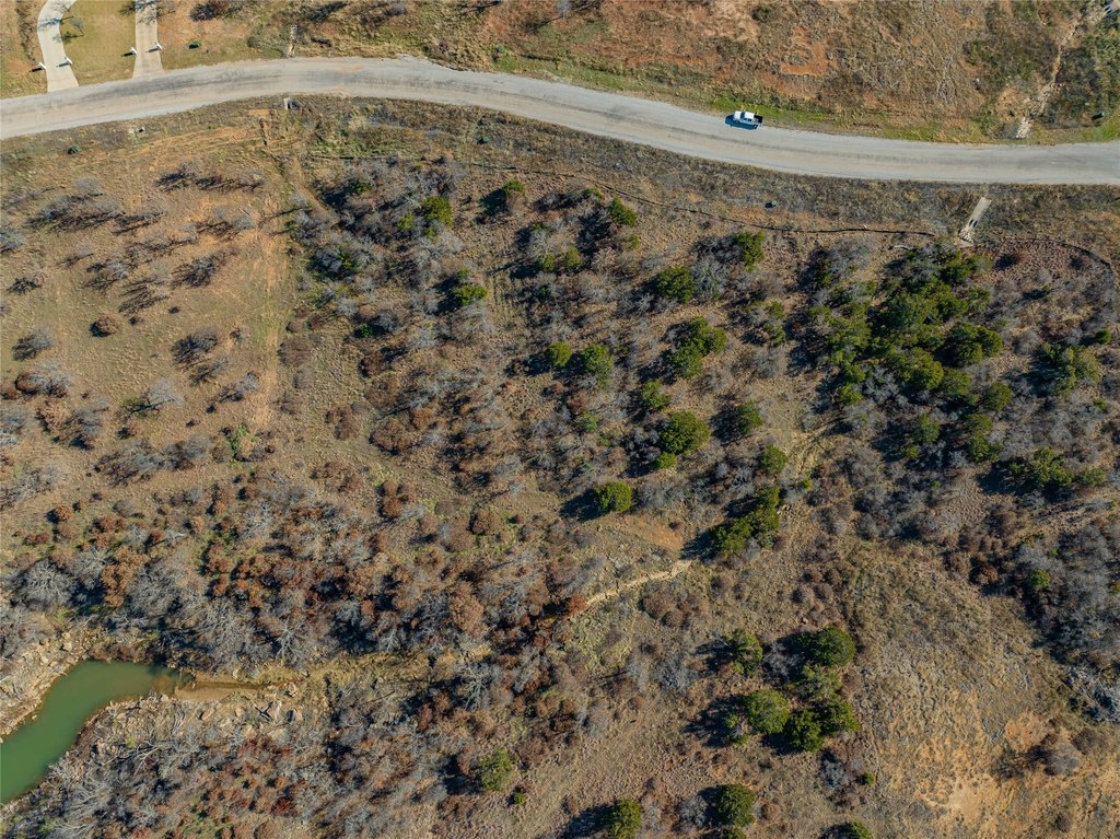 Picture 29