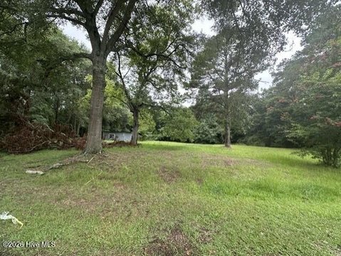 LAND - Magnolia, NC