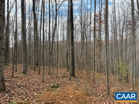 Wooded Agricultural Land Parcel