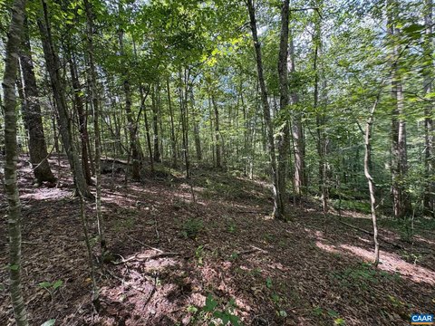 Wooded Agricultural Land Parcel