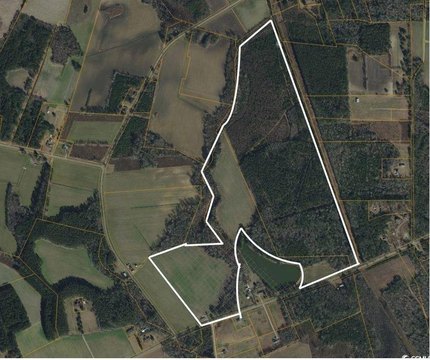 Versatile 140-Acre Tract Near Myrtle Beach