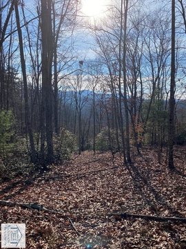 Land, Stuart, VA
