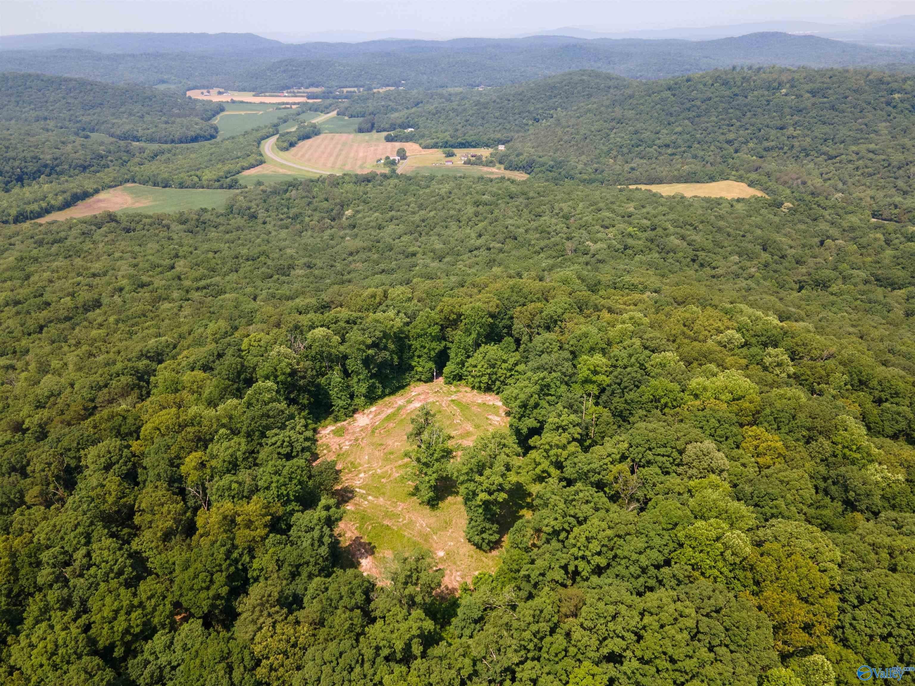 HUNTING LAND - Woodville, AL
