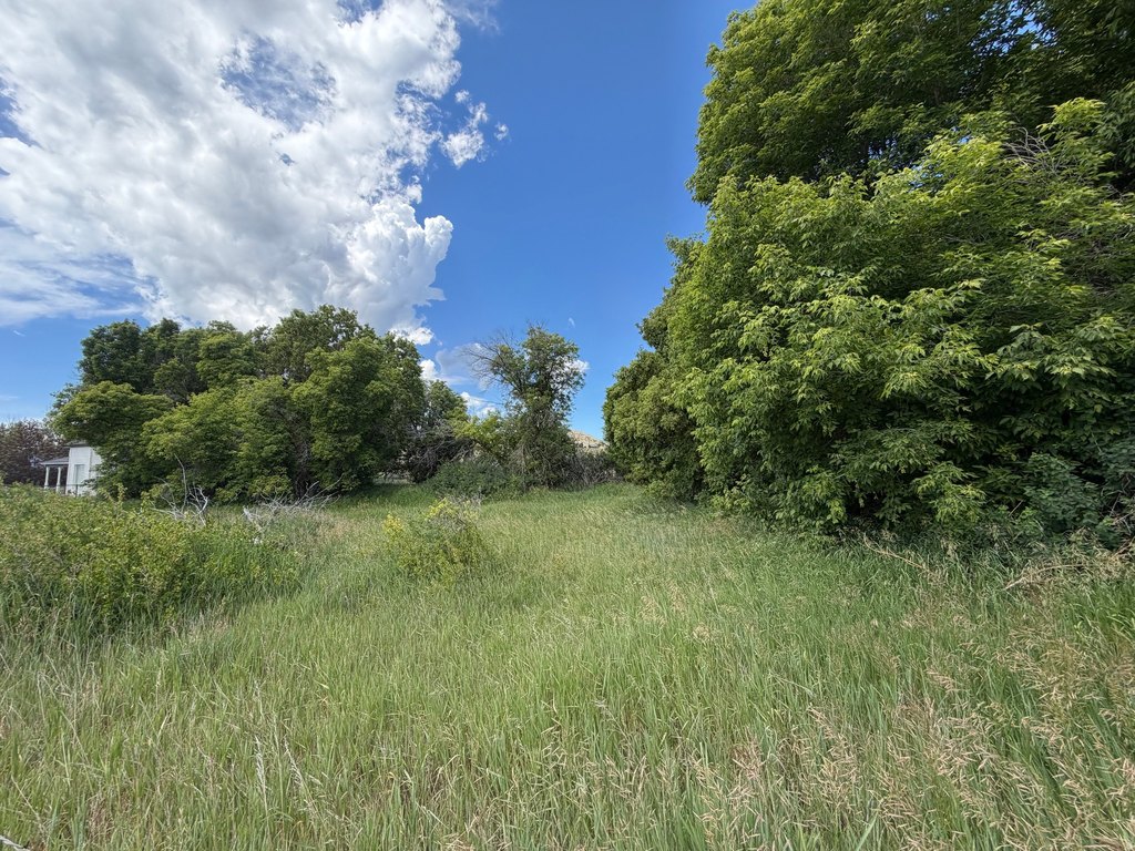 Picture 14
