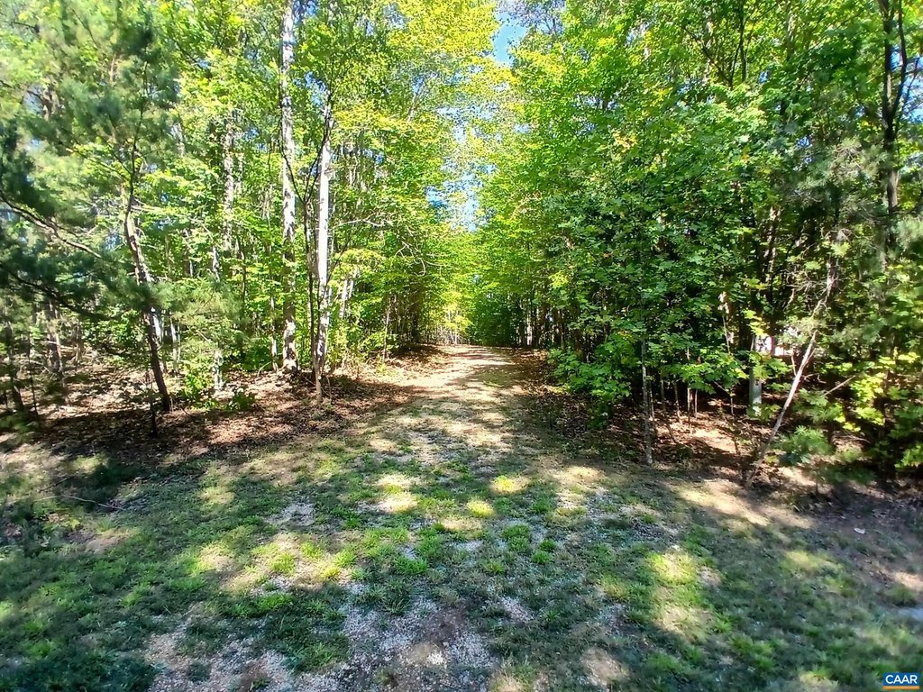 Picture 18