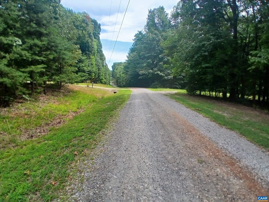 Picture 13