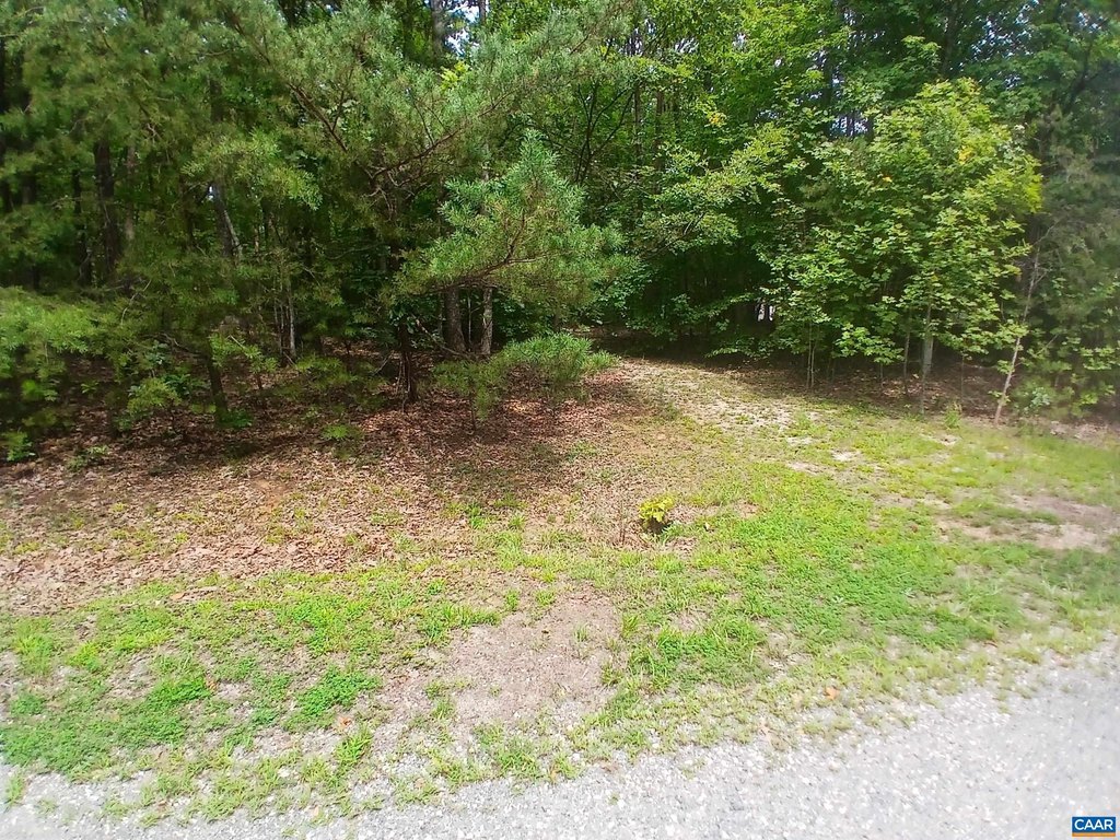Picture 16