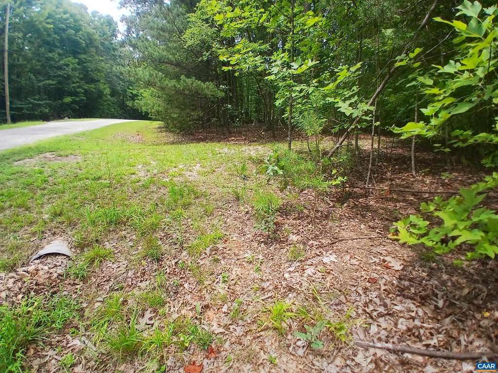 Picture 14
