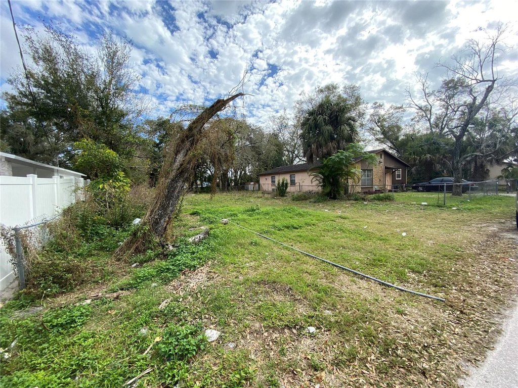 Picture 2