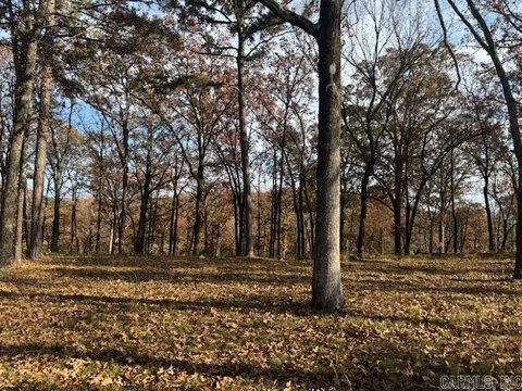 Orchard Hill Building Lot