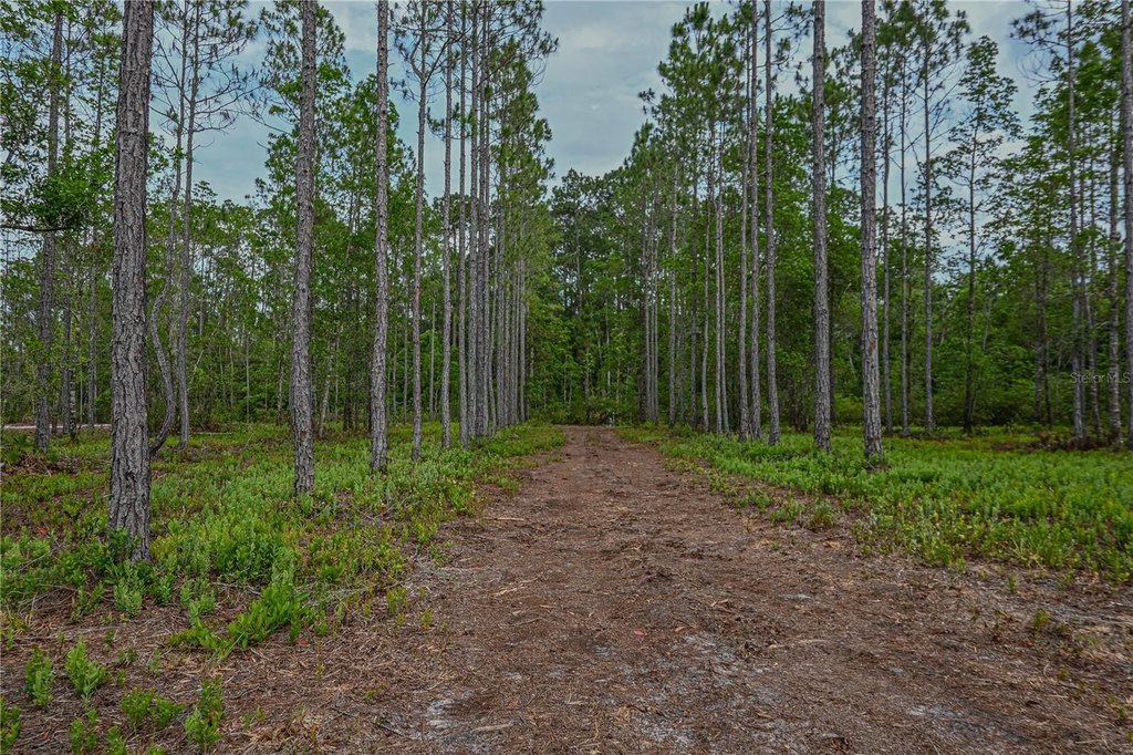 Picture 30