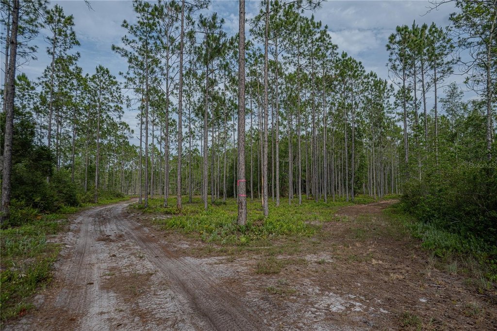 Picture 46
