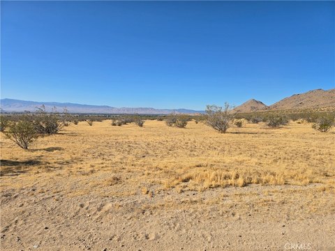 Flat Desert Land Parcel