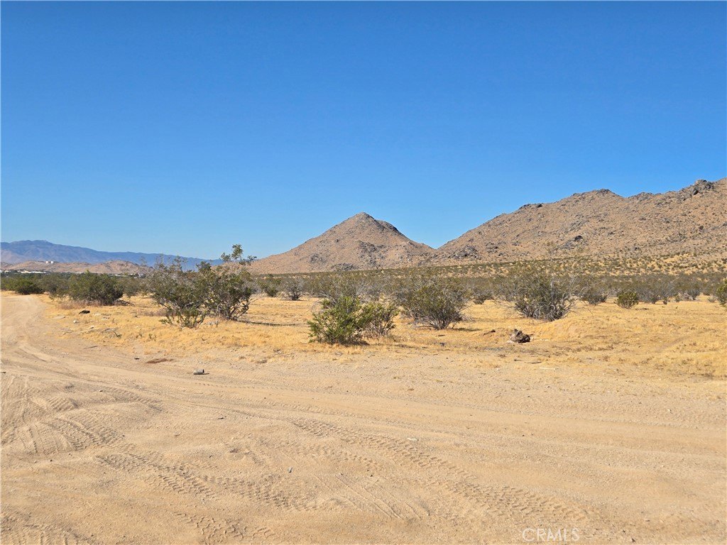 Picture 2