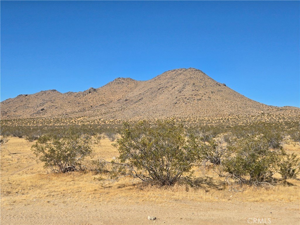 Picture 3
