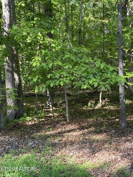 Crossville Buildable Lot Near Lake