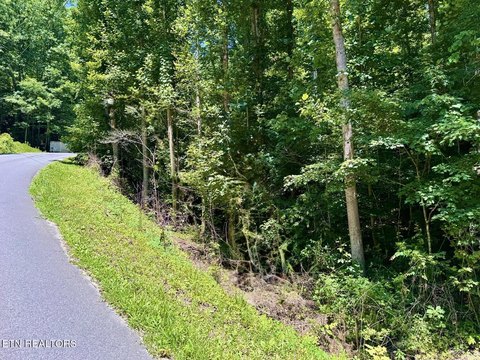 LAND - Sevierville, TN