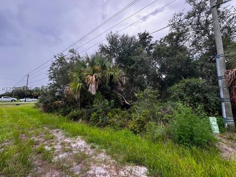 Land, Port Charlotte, FL