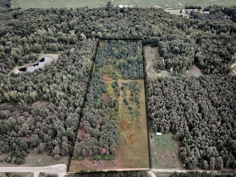 Vacant Land, Juniata Twp, MI