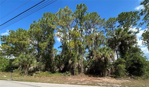 LAND - NORTH PORT, FL